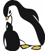 Logo: PINGUIN-Studie