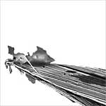 Pen-Nadel nach mehrfachem Gebrauch Pen-Nadel nach mehrfachem Gebrauch