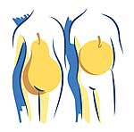 Figur: Apfel- oder Birnen-Typ