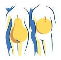 Die 'Apfel-Körperform' deutet bei Menschen auf eine ungesunde Ernährung hin.