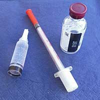 Wirkung des Hormons Insulin im Gehirn.