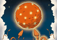 Symbolhafte Darstellung der Befruchtung einer Eizelle.