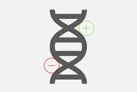Kleine Veränderungen an der Erbsubstanz (epigenetische Marker) zeigen, wie gut das Gehirn auf Insulin anspricht – ein möglicher Schlüssel zur Prävention von Typ-2-Diabetes und Adipositas.