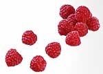 Himbeeren