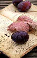 Zwetschge bzw. Pflaume geteilt mit Kern